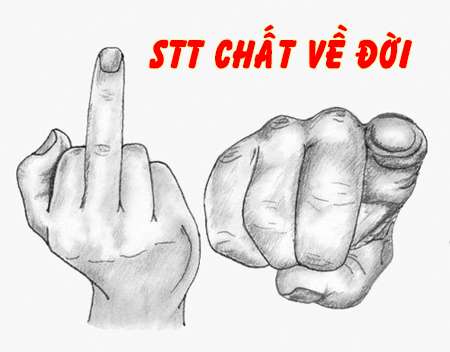 stt cuộc sống hay